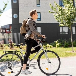 A Student Riding Their Bicycle to a University Campus